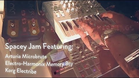 Analog Mono Synth + Analog Delay - Microbrute - EHX Memory Boy