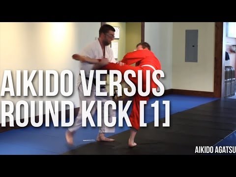 AIKIDO VERSUS ROUNDHOUSE