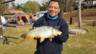 Carp fishing at Roodplaat Hengelaars Vriend.