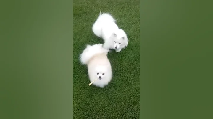 Deja & Macy volume 1