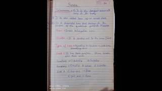 # Patella notes # bsc nursing student #