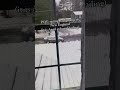 Spring Has Sprung #newengland #boston #massachusetts #weather #snow #snowday #comedy #spring #funny