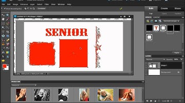 Photoshop Elements - Working with Custom Shapes Part 1