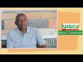 Ils aiment Iwacu et le disent
