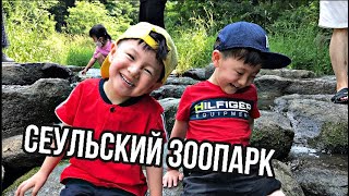 Vlog Korea: Сеульский зоопарк| Grand Seoul Zoo