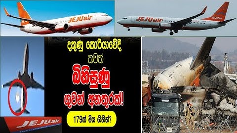 ලොවක් කම්පා කළ මගීන් 179ක් බිලිගත් දකුණු කොරියානු බිහිසුණු ගුවන් අනතුර! ,Plane Crash in South Korea