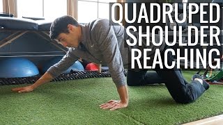 Quadruped Shoulder Reaching - Kinetic U Exercise Series