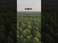 Взлет с ладони! 🚀 Магия DJI Neo 2 в лесу #shorts