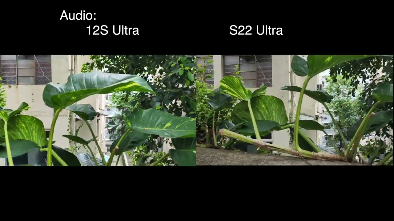 Xiaomi 12S Ultra review: better than S22 Ultra? AWESOME camera
