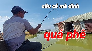 buổi câu cá thực tế tại lòng hồ TRỊ AN mùa nước rút