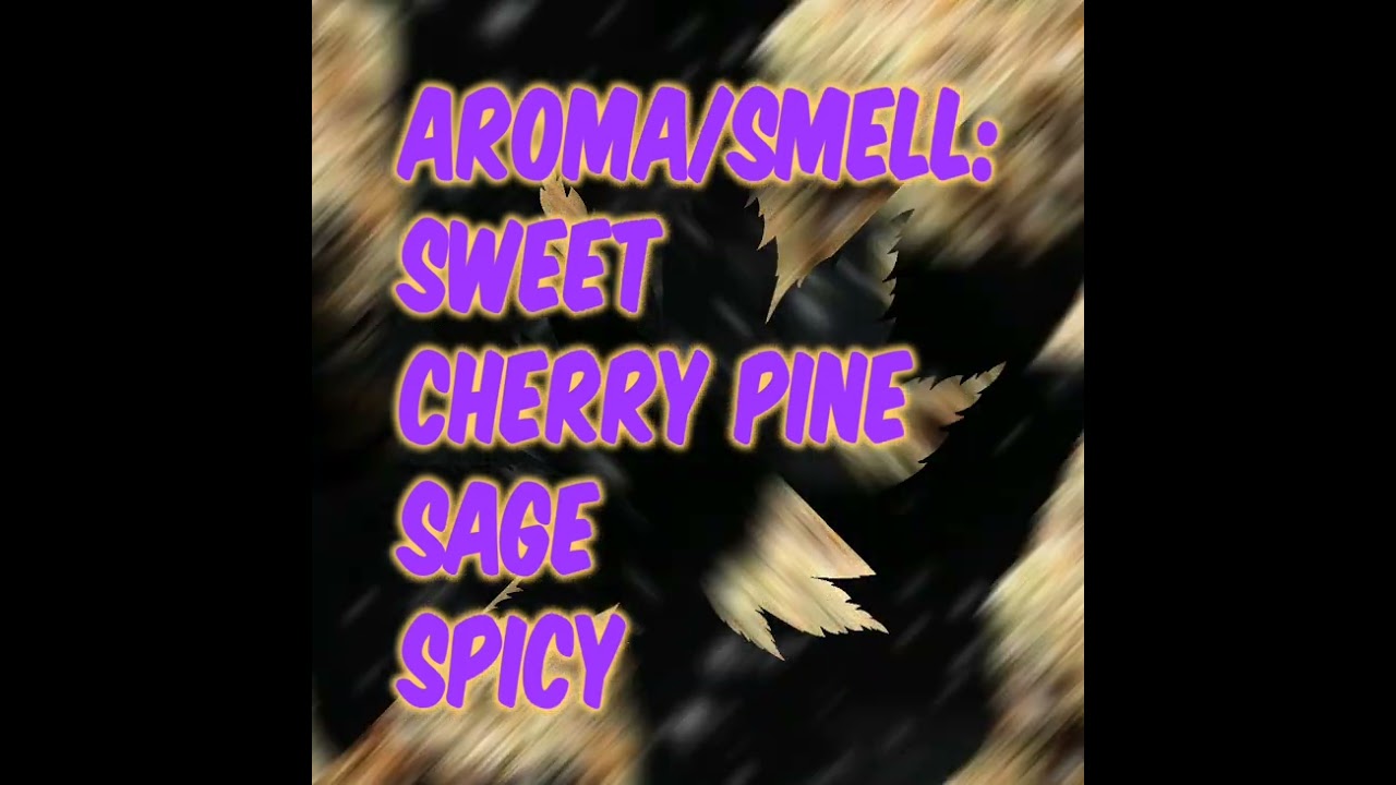 Doppelganger (H) Strain Review Budpedia