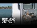 New marine headquarters for Wayne County Sheriff's Office