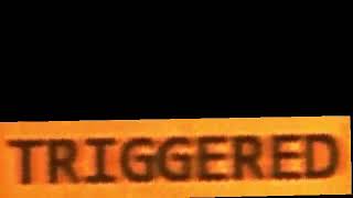 Triggered sound | Meme