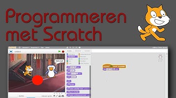 Programmeren met Scratch: Eerste stapjes in het programma