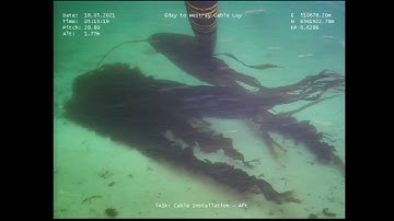 Subsea video of touchdown monitoring