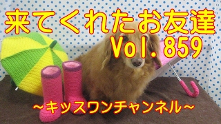 KiSSWann(キッスワン) 詳しくは⇒⇒⇒http://kisswann.com キッスワンは東...