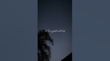 ﴿ فويلٌ للقَاسيةِ قلوبهُم مِن ذكرِ اللّه ﴾ #القارئ_ماهر_المعيقلي .