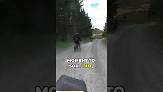 Logging on the road side.