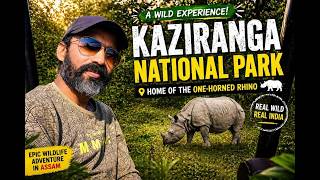 Exploring Kajiranga National Park Assam | Close encounter with one horned Rhinos | #travel #jimny