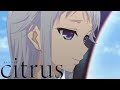 Support | citrus
