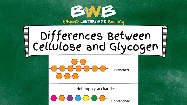 Differences between starch glycogen and cellulose