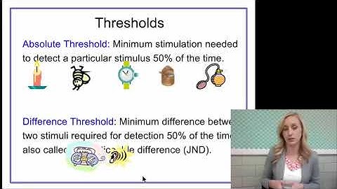 Intro to Sensation and Perception Flipped Notes for AP Psychology by Mandy  Rice
