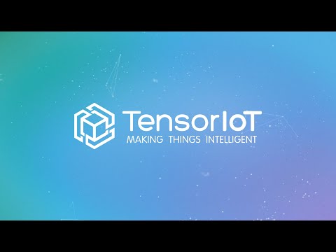 Who is TensorIoT? - video from TensorIoT