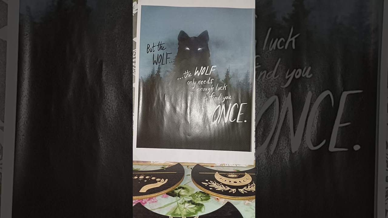 LAV 19/26 JANUAR NE PREUVELICAVAJTE PROBLEM