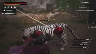 Conan Exiles White Tiger (aka Buttercup) vs Team Thrall