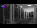 ShebaHost.com BDIX Bangladeshi Web Hosting Company Web Server Room Video #shebahost #BDIX