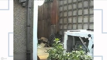 Prezi Autoplay issue