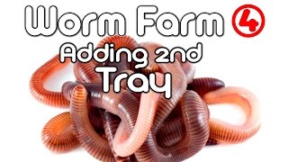 Worm Farm 4  (Adding 2nd Tray)