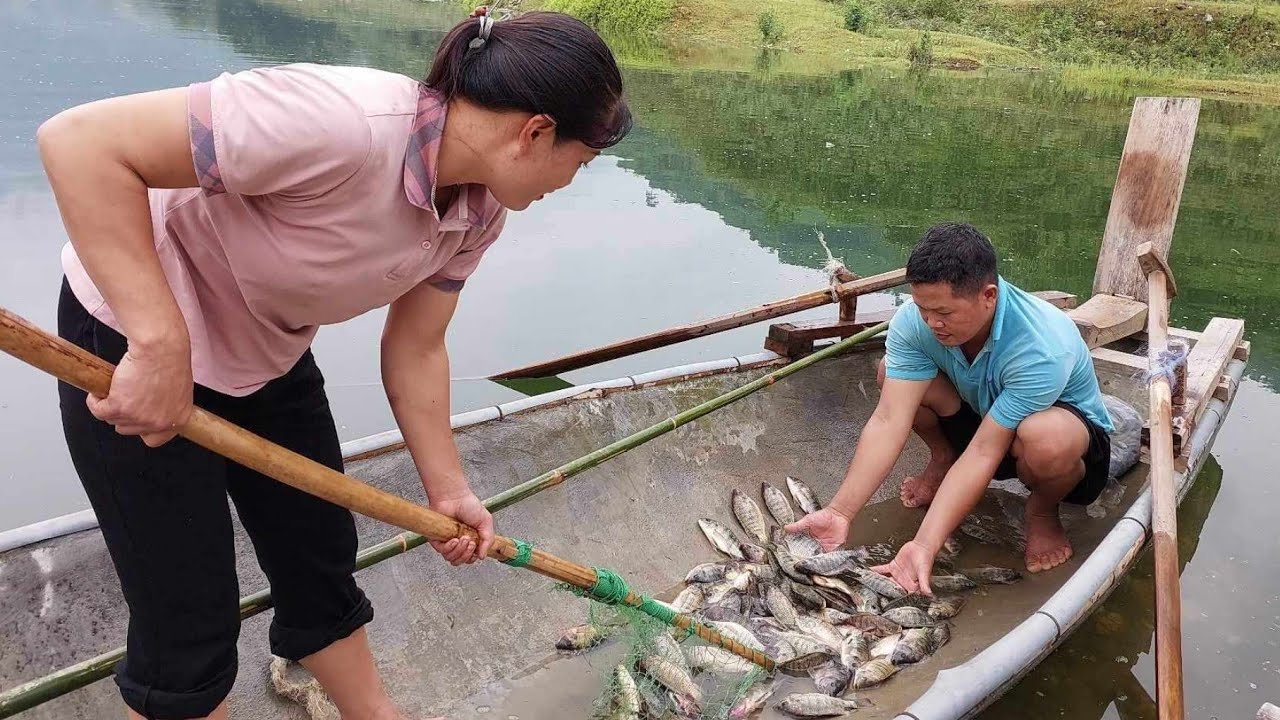 Harvesting fish in the rain with a net go to the village to sell ...