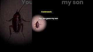 Cockroach vs me 😂 Very funny video #funny #comedy #relatable #viral #funnyvideo