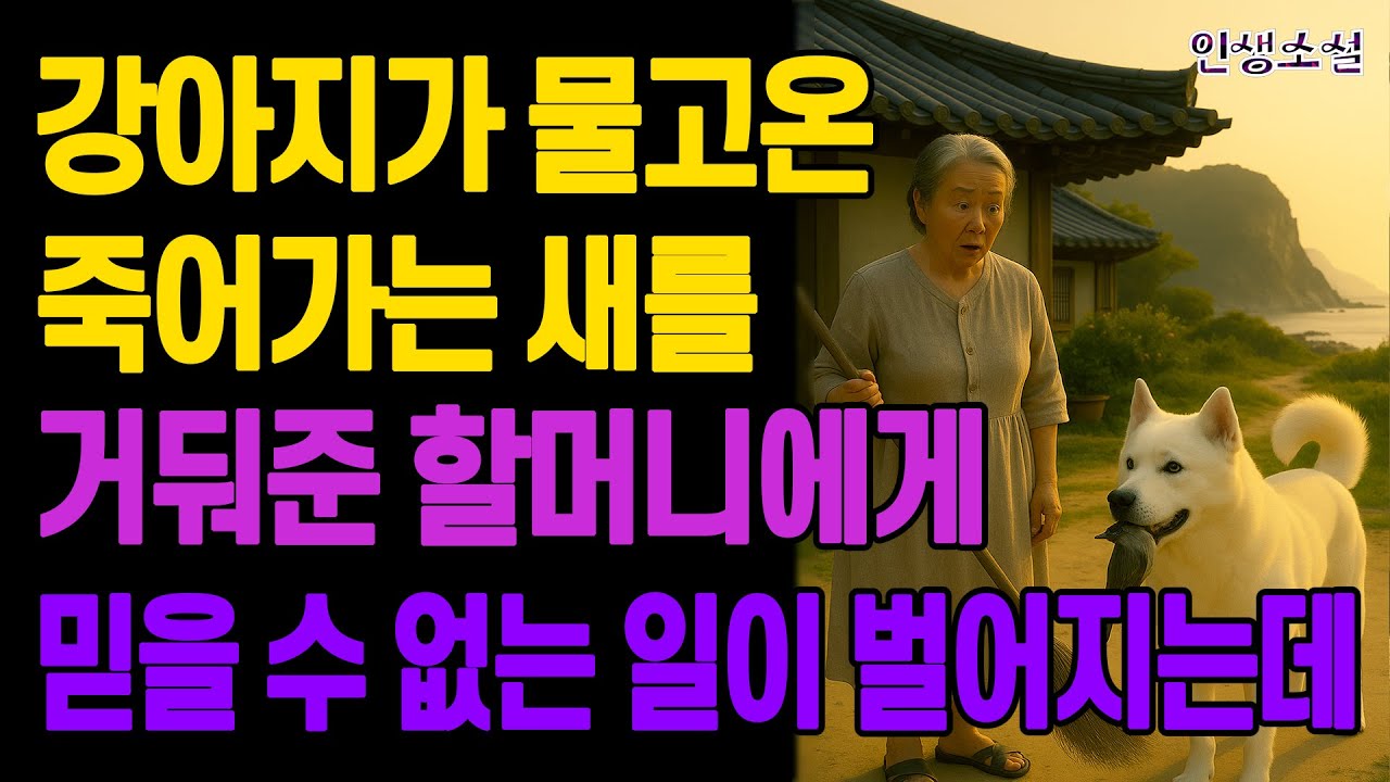 강아지가 물고온 죽어가는 새를 거둬준 할머니에게 믿을 수 없는 일이 벌어지는데