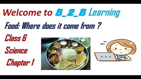 class 6 science  || chapter 1||  Food: Where does it come from?