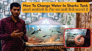 How to clean sharks fishtank | How to change water in sharks Aquarium