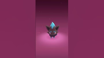 SHINY Zorua Finally! #pokemon #pokemongo #pokémon #shorts