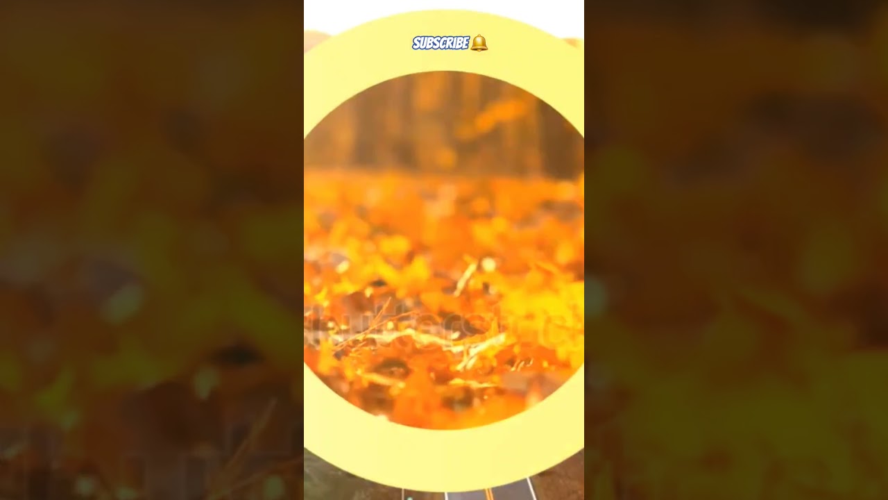 Naat //viral//short//like//share//coment//subscribe my channel 🔔