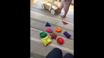 Shape recognition activity with Arthur - 17 months