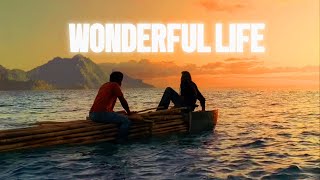 Multifandom | Wonderful Life