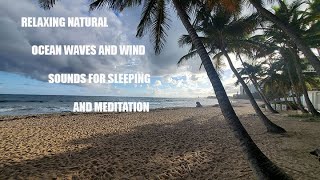 Ocean Waves 4K High Quality Sleep Sound One Hour Meditation Sleep Relaxation Ocean Sounds for Sleep
A wonderful experience of sleeping beside with the natural ocean sounds of Puerto Ricos waves rolling next to your bed. High quality stereo ocean sounds, better than any sleep music will provide a great relaxing atmosphere for deep sleeping. All you need to do is playing this video and listen to the waves.
Play sound all night for free by looping the video and adding it to your playlist makes it easier to loop all night for a restful sleep. Playlist LINK https://youtube.com/playlist?list=PLMULiKyysxYx19T7217PdV87L6Rvi6DwV
All of you sleepyheads, just make yourself comfortable in bed, close your eyes and think about this place. Sweet dreams!
This footage was shot on Condado Beach in Puerto Rico 🇵🇷
All the rights belong to BBTV.
Free Ocean Waves Stock Footage Download https://youtu.be/J7pBztjUqUc
#sleepsounds #meditationsounds #oceansounds #oceanwaves Ocean Waves 4K High Quality Sleep Sound One Hour Meditation Sleep Relaxation Ocean Sounds for Sleep