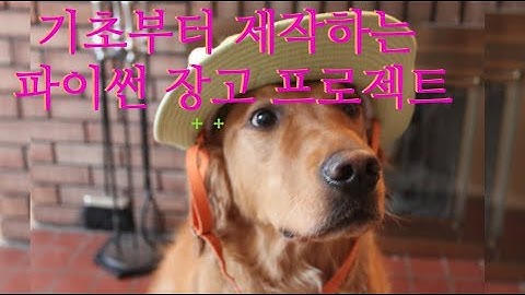 28.기초부터 제작하는 파이썬 장고(Python Django) 프로젝트 -  인증 처리 1 - 로그인,로그아웃 만들기