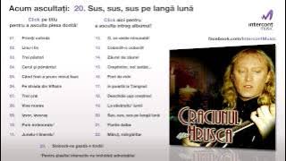 Stefan Hrusca - Sus, sus, sus pe langa luna (20/23) [Craciunul cu Hrusca]