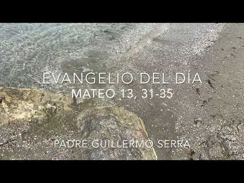 ✴️ EVANGELIO de HOY 31 de JULIO 📌 PADRE GUILLERMO SERRA - MATEO 13, 31-35