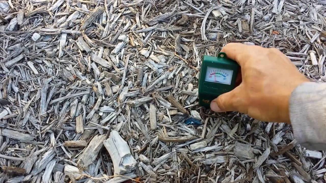 Soil moisture test for Back to Eden garden