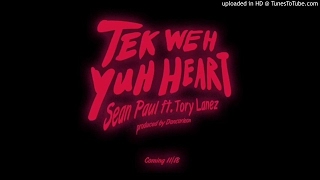 Sean Paul Ft Tory Lanez  Tek Weh Yuh Heart Instrumental X S