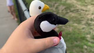 The Beanie Babies Show: Loosy and Baldy Go to the Park - Owl Scene