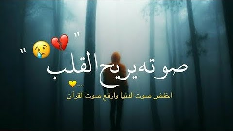 صوته يفوق الخيال ❤🥰 اروع تلاوة هادئة ممكن تسمعها اجمل حالة واتس اب حالات واتساب "ومن اعرض عن ذكري"