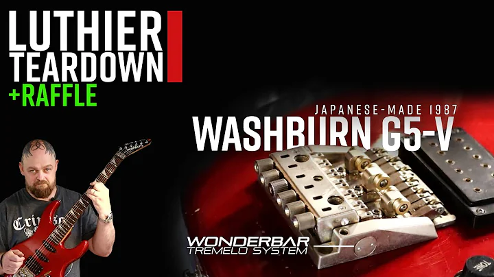 Luthier Teardown | 1987 Washburn G-5V - Check out ...